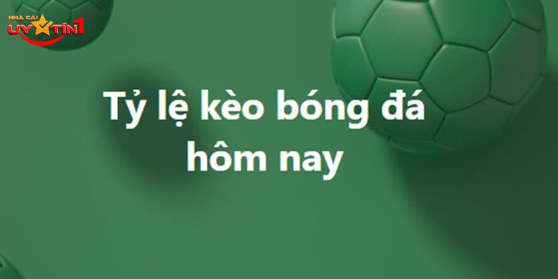 Bạn cần phải soi kèo mỗi ngày để có thể đưa ra dự đoán chính xác